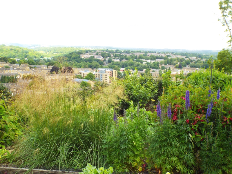 148 Healey Wood Road